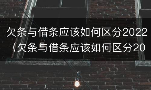 欠条与借条应该如何区分2022（欠条与借条应该如何区分2022款）