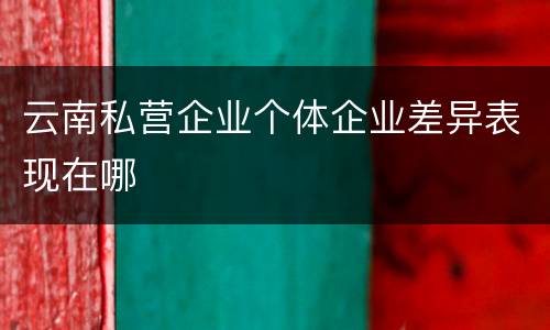 云南私营企业个体企业差异表现在哪