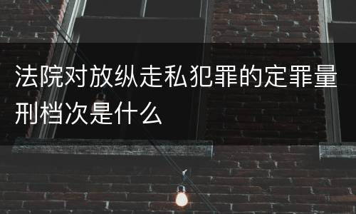 法院对放纵走私犯罪的定罪量刑档次是什么