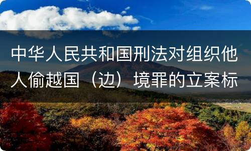 中华人民共和国刑法对组织他人偷越国（边）境罪的立案标准是什么