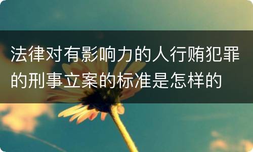 法律对有影响力的人行贿犯罪的刑事立案的标准是怎样的