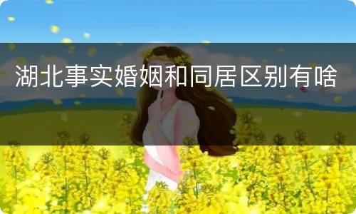 湖北事实婚姻和同居区别有啥