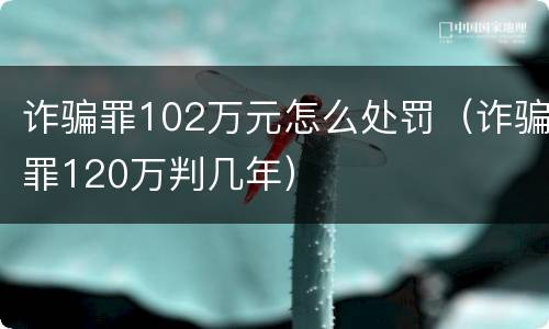 诈骗罪102万元怎么处罚（诈骗罪120万判几年）