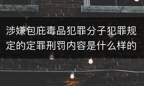 涉嫌包庇毒品犯罪分子犯罪规定的定罪刑罚内容是什么样的