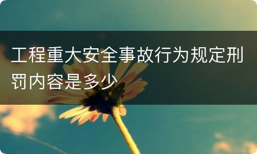 工程重大安全事故行为规定刑罚内容是多少