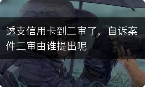 透支信用卡到二审了，自诉案件二审由谁提出呢
