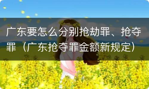 广东要怎么分别抢劫罪、抢夺罪（广东抢夺罪金额新规定）