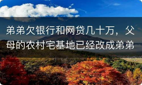 弟弟欠银行和网贷几十万，父母的农村宅基地已经改成弟弟名字，母亲还健在，宅基地和房
