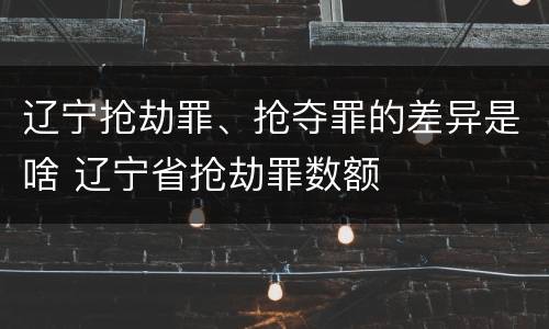 辽宁抢劫罪、抢夺罪的差异是啥 辽宁省抢劫罪数额
