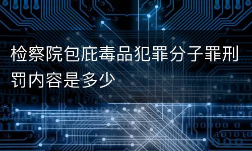 检察院包庇毒品犯罪分子罪刑罚内容是多少