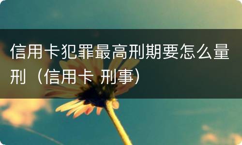 信用卡犯罪最高刑期要怎么量刑（信用卡 刑事）