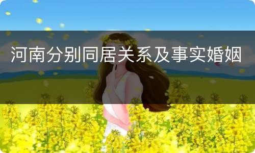 河南分别同居关系及事实婚姻