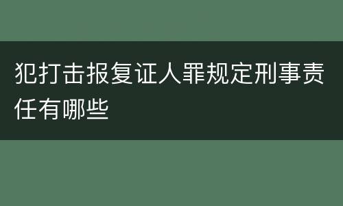 犯打击报复证人罪规定刑事责任有哪些