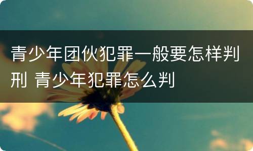 青少年团伙犯罪一般要怎样判刑 青少年犯罪怎么判