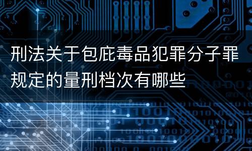 刑法关于包庇毒品犯罪分子罪规定的量刑档次有哪些
