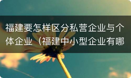 福建要怎样区分私营企业与个体企业（福建中小型企业有哪些）