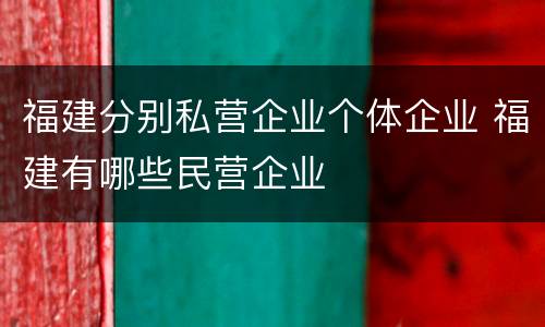 福建分别私营企业个体企业 福建有哪些民营企业
