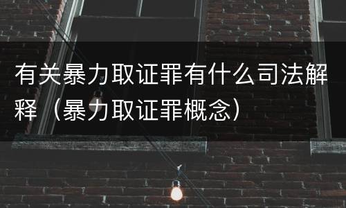 有关暴力取证罪有什么司法解释（暴力取证罪概念）