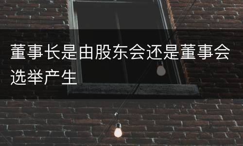 董事长是由股东会还是董事会选举产生