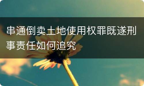 串通倒卖土地使用权罪既遂刑事责任如何追究