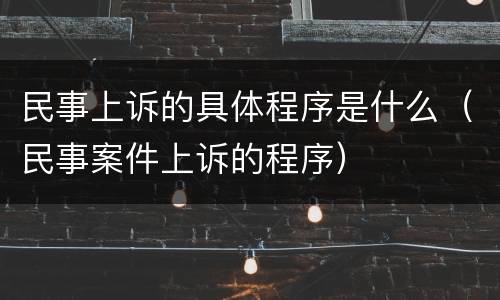 民事上诉的具体程序是什么（民事案件上诉的程序）