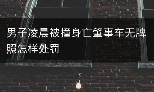 男子凌晨被撞身亡肇事车无牌照怎样处罚