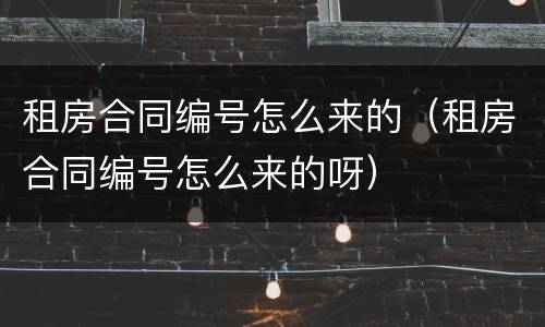 租房合同编号怎么来的（租房合同编号怎么来的呀）