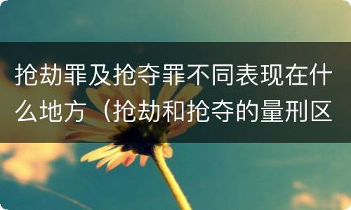 抢劫罪及抢夺罪不同表现在什么地方（抢劫和抢夺的量刑区别）