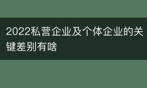 2022私营企业及个体企业的关键差别有啥