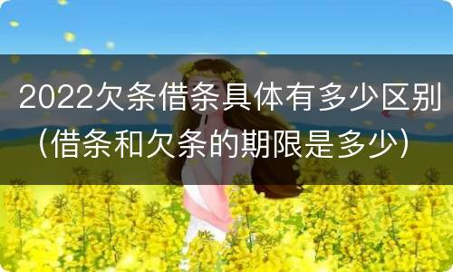2022欠条借条具体有多少区别（借条和欠条的期限是多少）