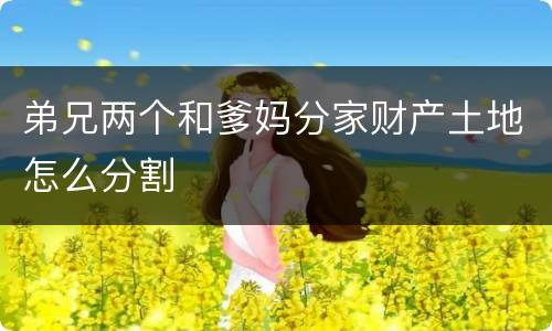弟兄两个和爹妈分家财产土地怎么分割
