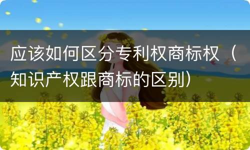 应该如何区分专利权商标权（知识产权跟商标的区别）