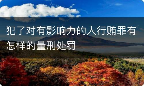 犯了对有影响力的人行贿罪有怎样的量刑处罚