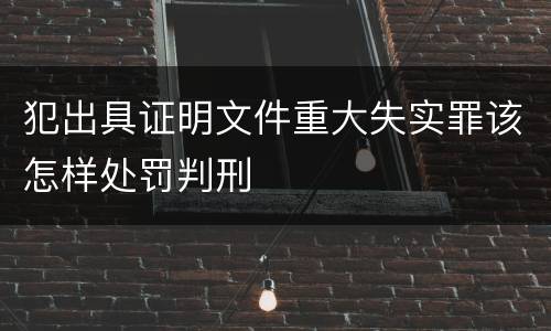 犯出具证明文件重大失实罪该怎样处罚判刑