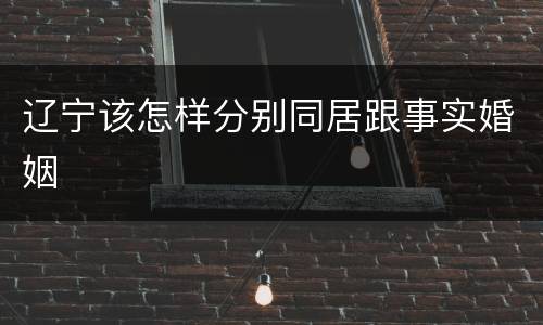 辽宁该怎样分别同居跟事实婚姻