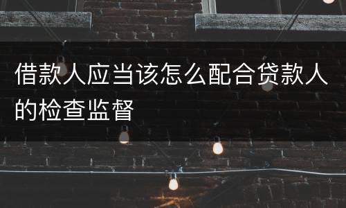 借款人应当该怎么配合贷款人的检查监督