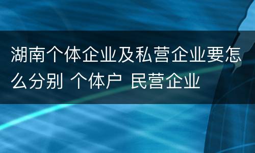 湖南个体企业及私营企业要怎么分别 个体户 民营企业