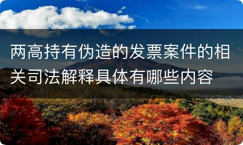 两高持有伪造的发票案件的相关司法解释具体有哪些内容