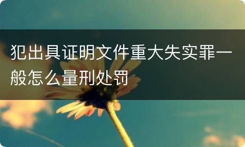 犯出具证明文件重大失实罪一般怎么量刑处罚