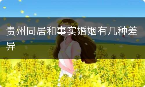 贵州同居和事实婚姻有几种差异