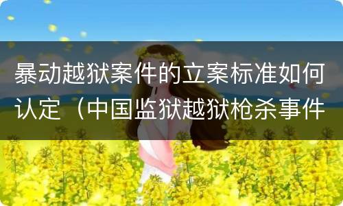 暴动越狱案件的立案标准如何认定（中国监狱越狱枪杀事件）