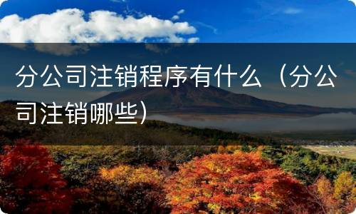 分公司注销程序有什么（分公司注销哪些）