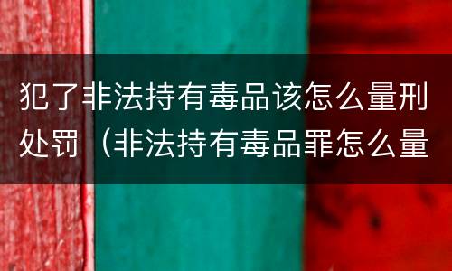 犯了非法持有毒品该怎么量刑处罚（非法持有毒品罪怎么量刑）