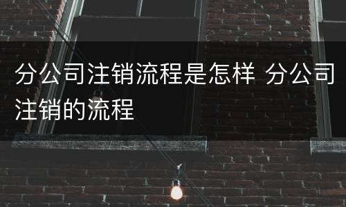 分公司注销流程是怎样 分公司注销的流程