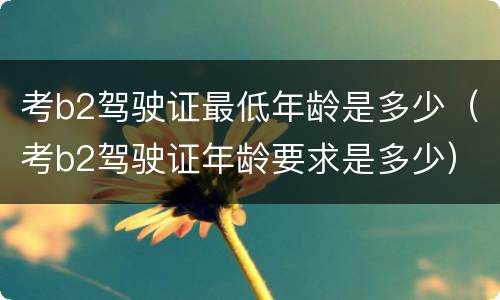 考b2驾驶证最低年龄是多少（考b2驾驶证年龄要求是多少）