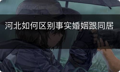 河北如何区别事实婚姻跟同居