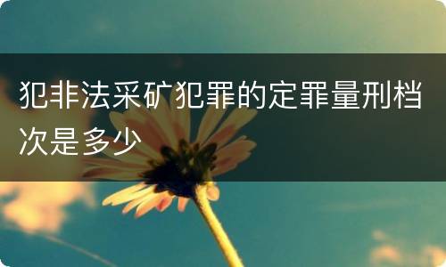 犯非法采矿犯罪的定罪量刑档次是多少