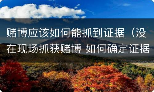 赌博应该如何能抓到证据（没在现场抓获赌博 如何确定证据）