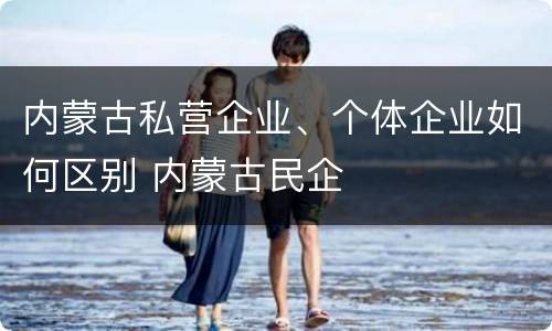内蒙古私营企业、个体企业如何区别 内蒙古民企