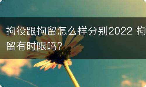 拘役跟拘留怎么样分别2022 拘留有时限吗?